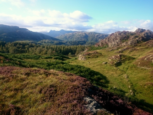 Ivy Crag, looking towards Langdale where I lived last winter.
